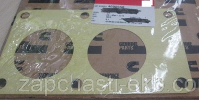 4095558 Прокладка крышки корпуса термостата